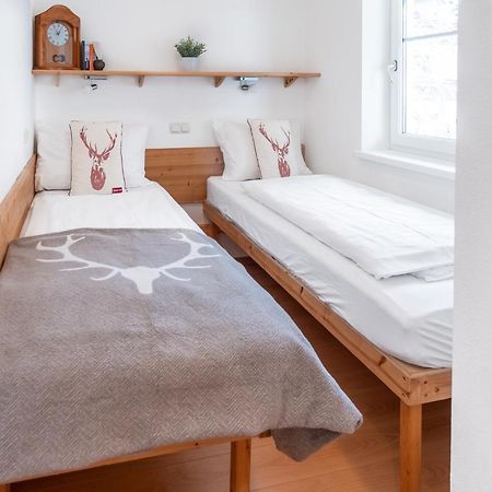 Schmitten & Cityxpress Apartment 1 And 2 Zell am See Extérieur photo