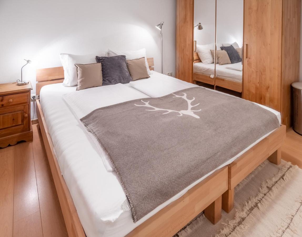 Schmitten & Cityxpress Apartment 1 And 2 Zell am See Extérieur photo