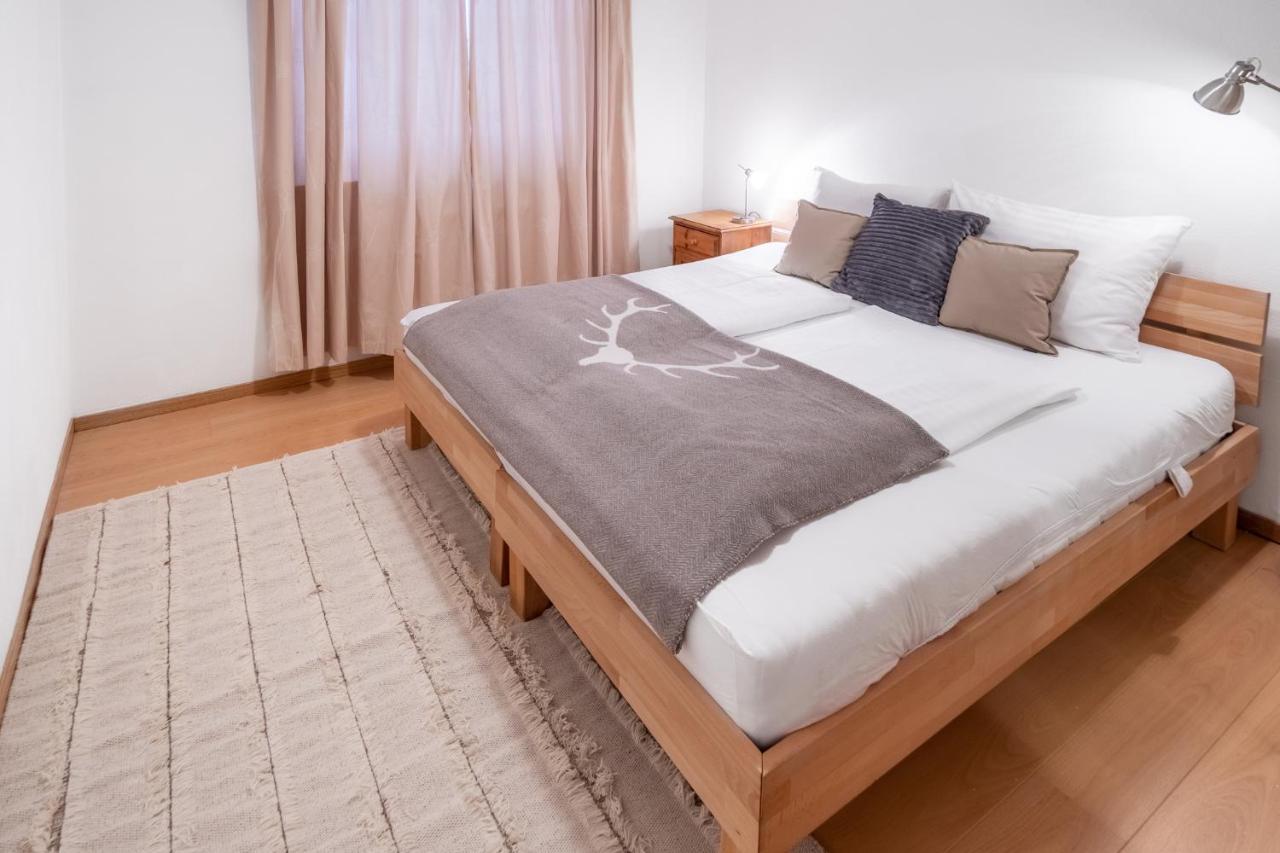 Schmitten & Cityxpress Apartment 1 And 2 Zell am See Extérieur photo
